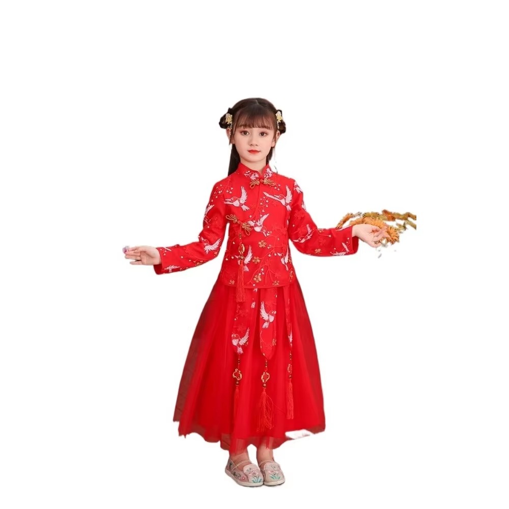 Kids Clothes Girl Dress Childr - Fashion Show Ethnic Wear recensie en prijs