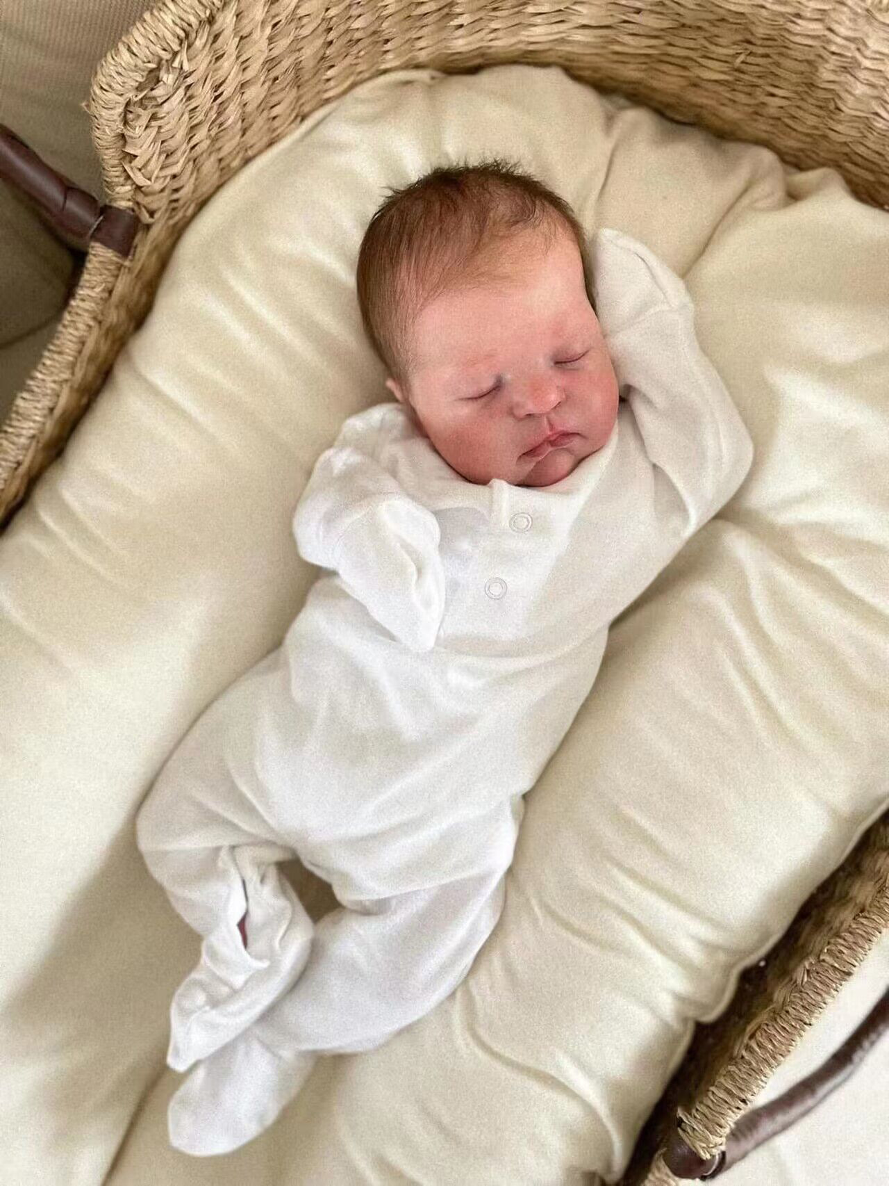 willa 19