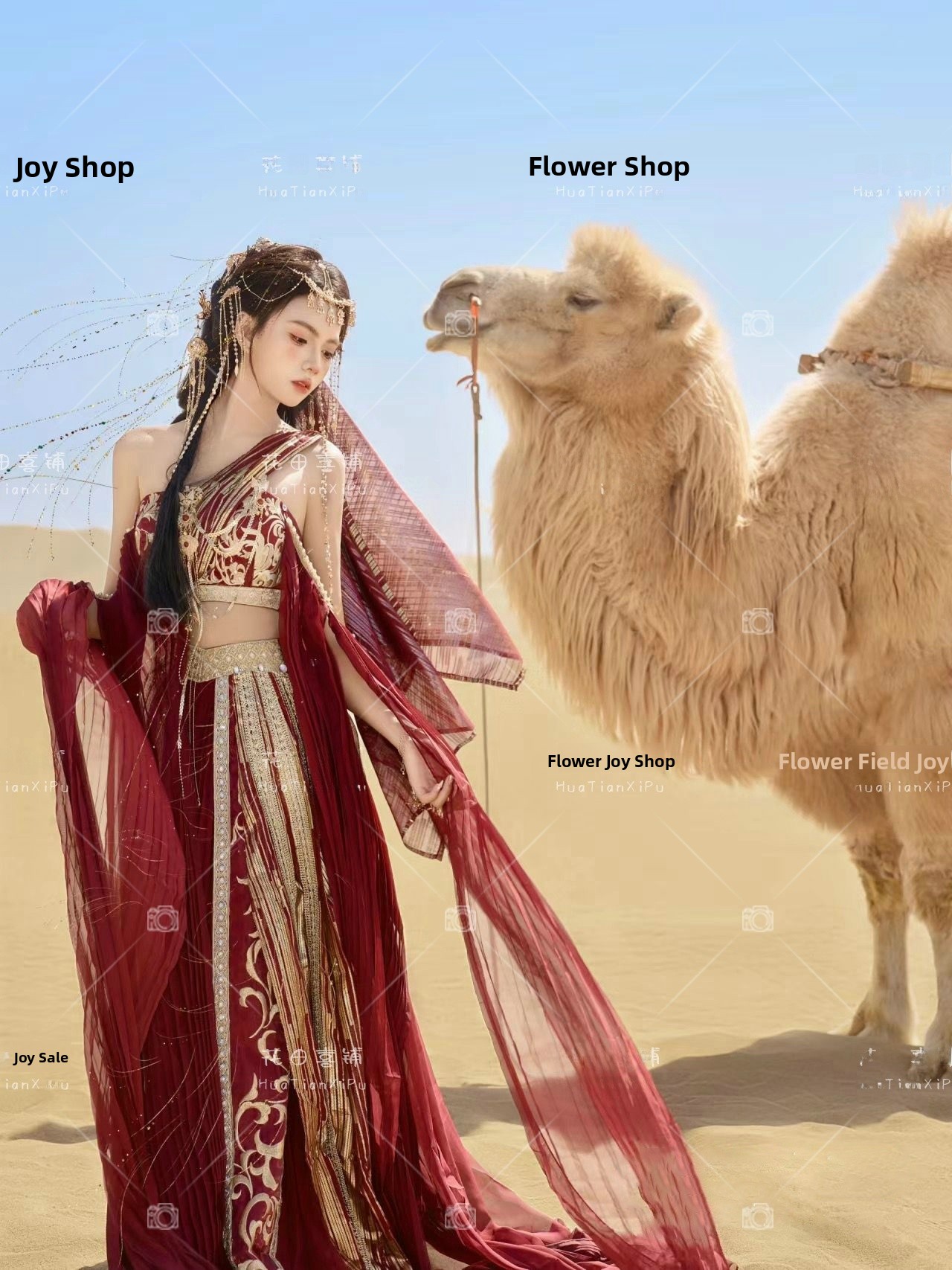 2026 New Original Ethnic Embro - Ethnic Fashion Photography recensie en prijs